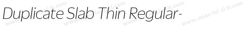 Duplicate Slab Thin Regular字体转换